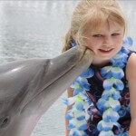 Meet the Dolphins in the Florida Keys