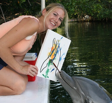 Florida Keys Dolphin Meet and Greet - 800-667-5524