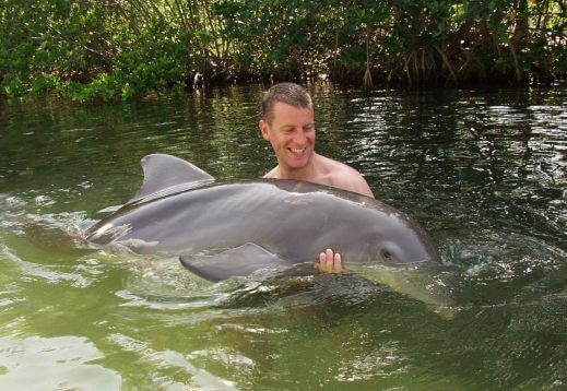 Florida Keys Dolphin Encounter