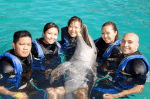 swim with the dolphins nassau bahamas