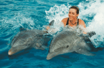 dolphin royal swim oahu hawaii
