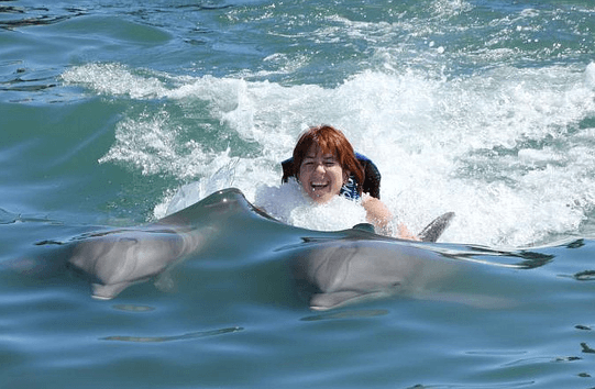 puerto vallarta swimming with dolphins