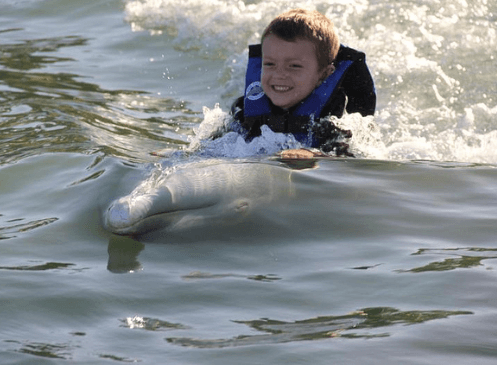 Los Cabos Dolphin Swim Adventure