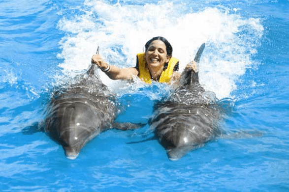 Puerto Plata Dolphin Swim