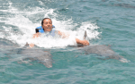 swim with dolphins Tortola virgin islands