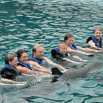 Oahu Hawaii Dolphin Program