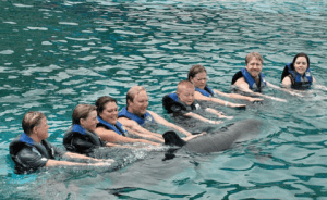 Oahu Hawaii Dolphin Program