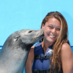 Sea Lion Swim Hawaii