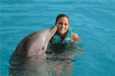 Swimming With Dolphins: Swim with Dolphin World - (800) 667-5524