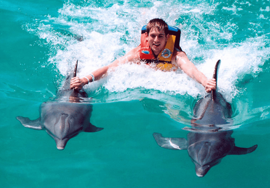 Cancun Dolphin Swim