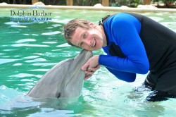 dolphin kiss miami