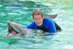 petting dolphin miami