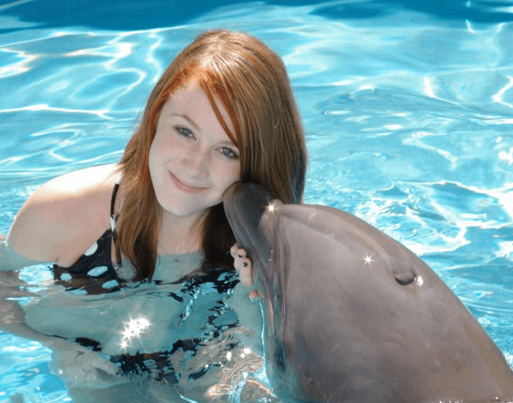 Miami Dolphin Encounter (non-swim) (800) 667-5524