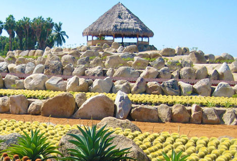 Wirikuta Park in Los Cabos