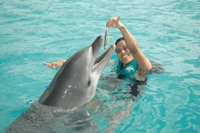 swim with dolphins puerto plata dominican republic