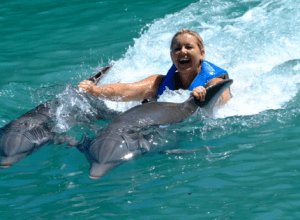 Swim with Dolphins in Ocho Rios Jamaica