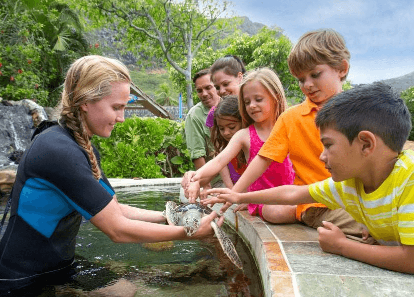 Many Hands On Animal Exhibits