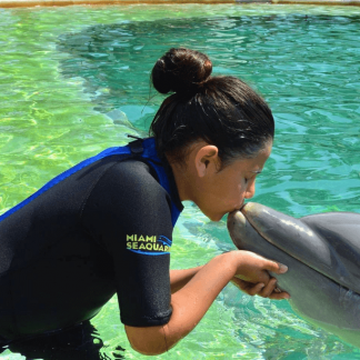 Miami Dolphin Encounter Kiss