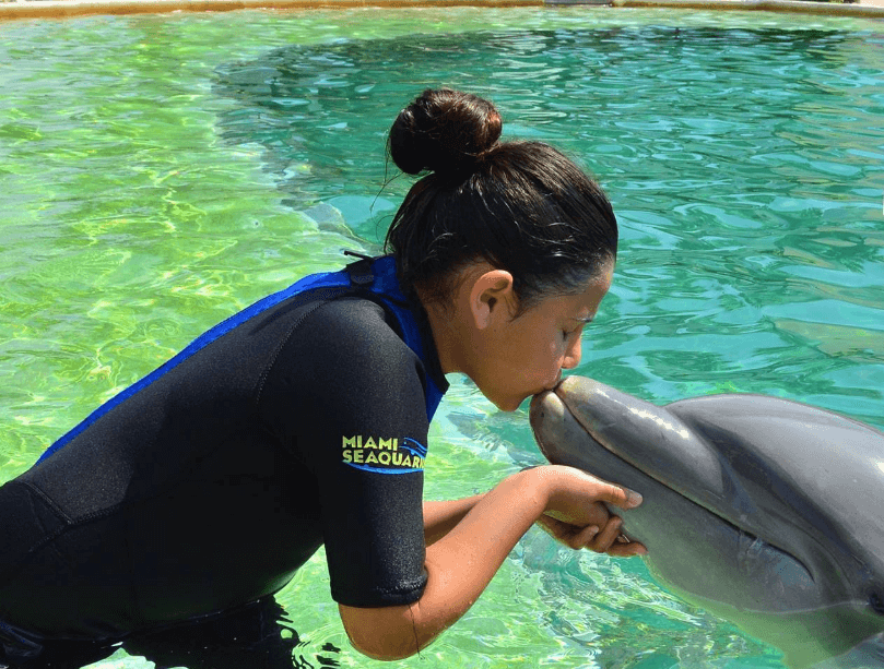 Miami Dolphin Encounter Kiss
