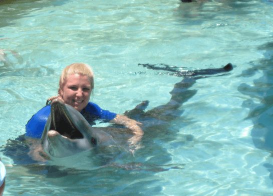 Dolphin Encounter Miami