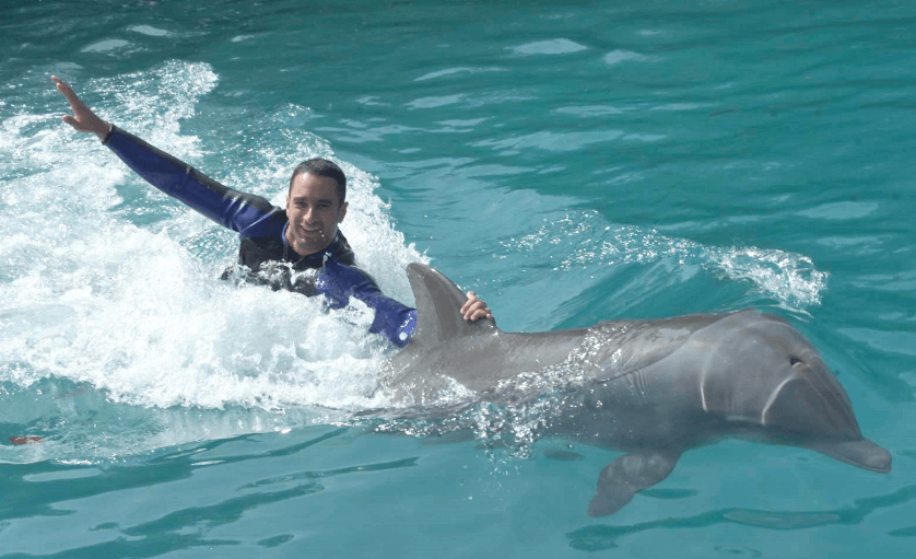 Miami Swim with Dolphins - Odyssey Program (800) 667-5524