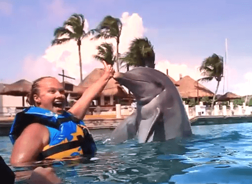 Dolphin Encounters Playa Del Carmen Area