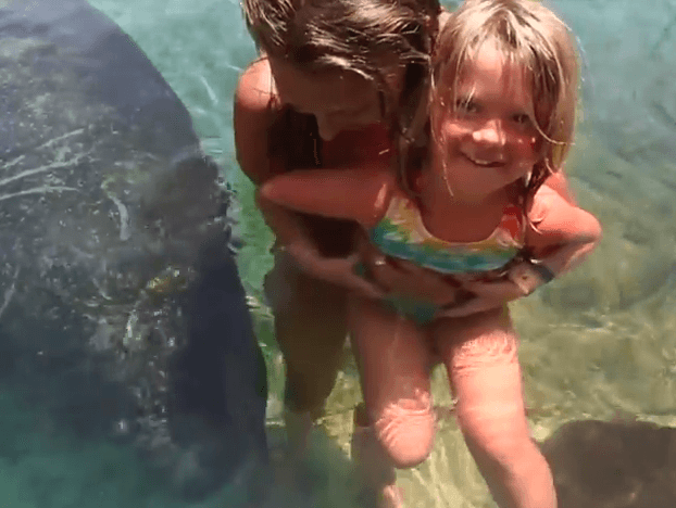 Manatee Encounter Playa Del Carmen Area