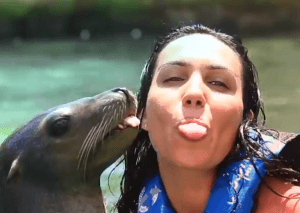 Fun with Sea Lions in Mexico