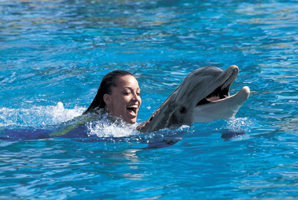 Swimming With Dolphins: Swim with Dolphin World - (800) 667-5524