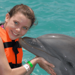 St Kitts Dolphin encounter