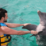 Peck Hold during Dolphin Swim Adventure Mexico
