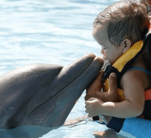 Baby Kisses Dolphin in Mexico