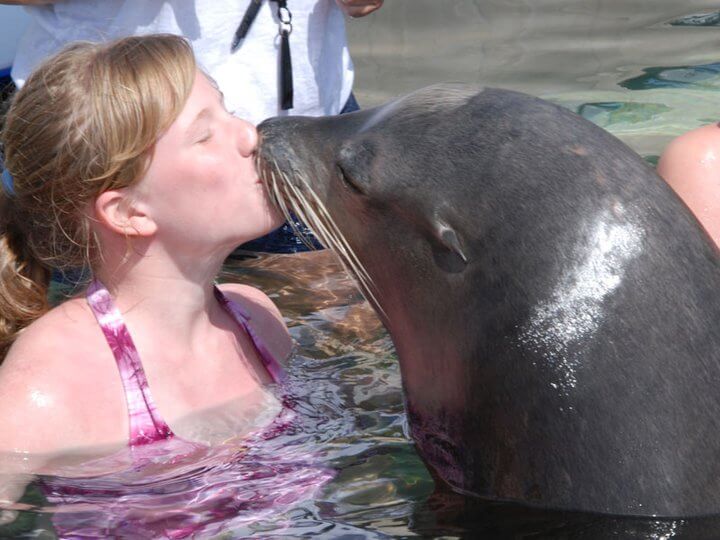 Sea Lion Encounter on Blue Lagoon Island 