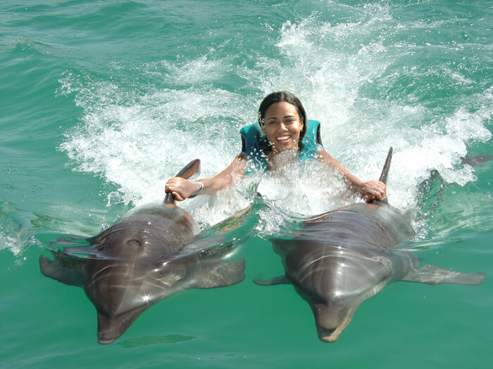 Dorsal Fin Ride Royal Swim Puerto Plata