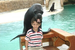 Sea Lion Encounter Puerto Plata Little Boy