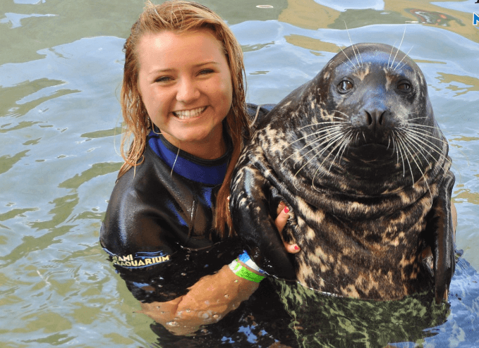 Ton of fun Seal Swim Miami