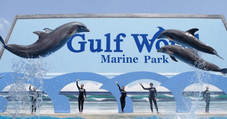 Dolphin Show Panama City Beach
