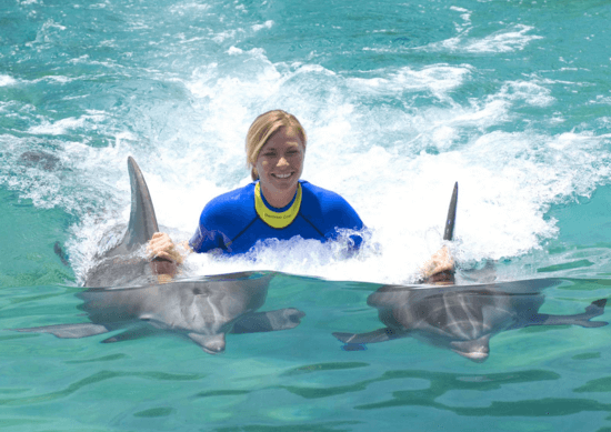 Swim with Dolphins in Florida
