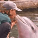 Nicki and the Dolphins in Florida