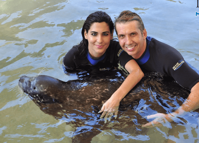 Mac and Shak Seal Swim Miami FL