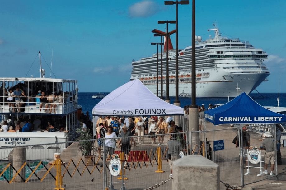 Cruise_Ship_Grand_Cayman_Island_ Swimming with Dolphins 18006675524