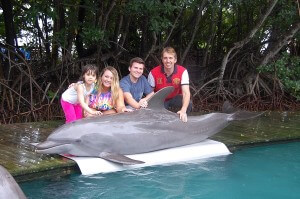 Touch and Feed a Dolphin VIP Miami