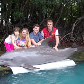 Touch and Feed a Dolphin VIP Miami