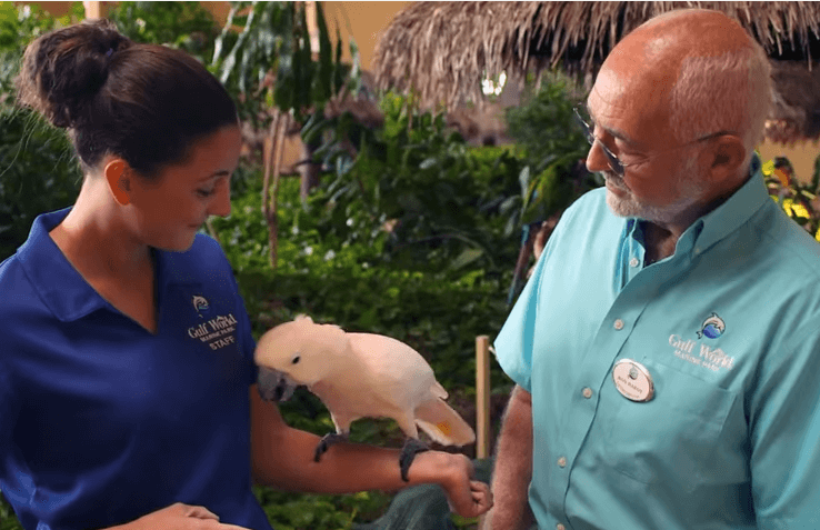 Large Bird Exhibit in Panama City Beach