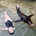 Florida Keys Dolphin Swim