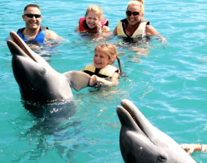Having Fun with the Dolphin Nassau Bahamas