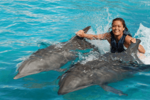 Dolphin Swim Oahu