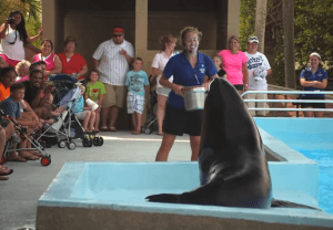Animal Education for the Whole Family in Panama City Beach