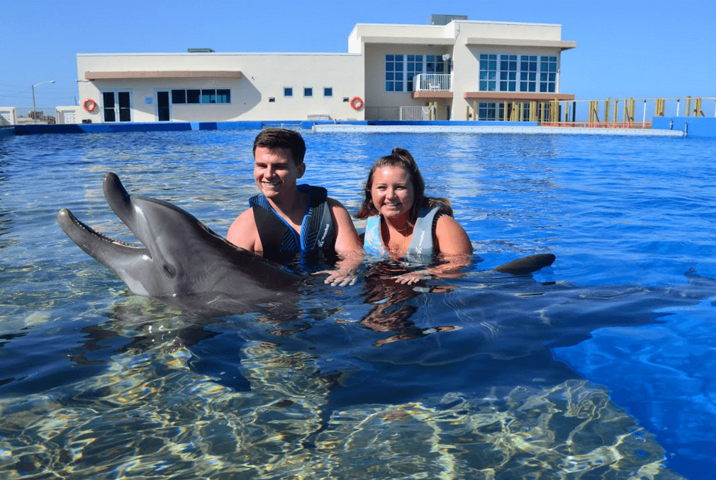 Holding the Dolphin in St Augustine