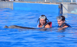Snorkeling with the Dolphins in St Augustine